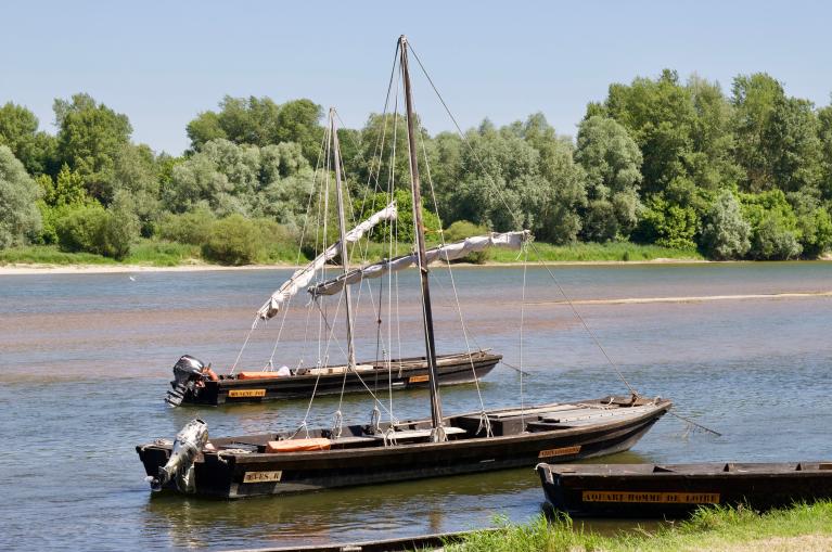 Typical boats on the river