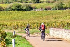 Cycling in Burgundy