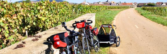 Cycling through Burgundy vineyards
